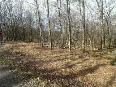 Lot 216 Aster Circle, Terra Alta, WV 26764