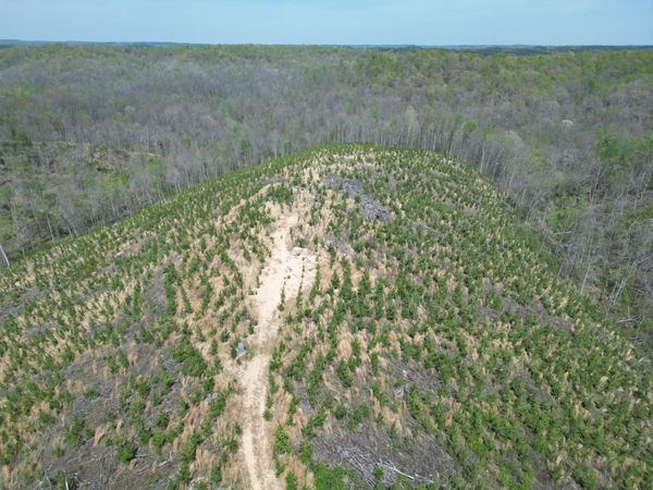 0D Waynesboro HWY , Waynesboro, TN 38485