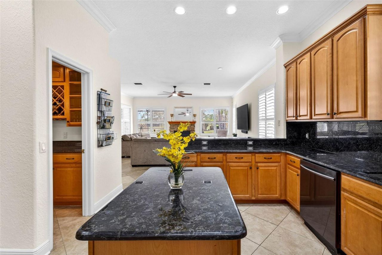 5905 Cherry Oak Drive , Valrico, FL 33596 Photo