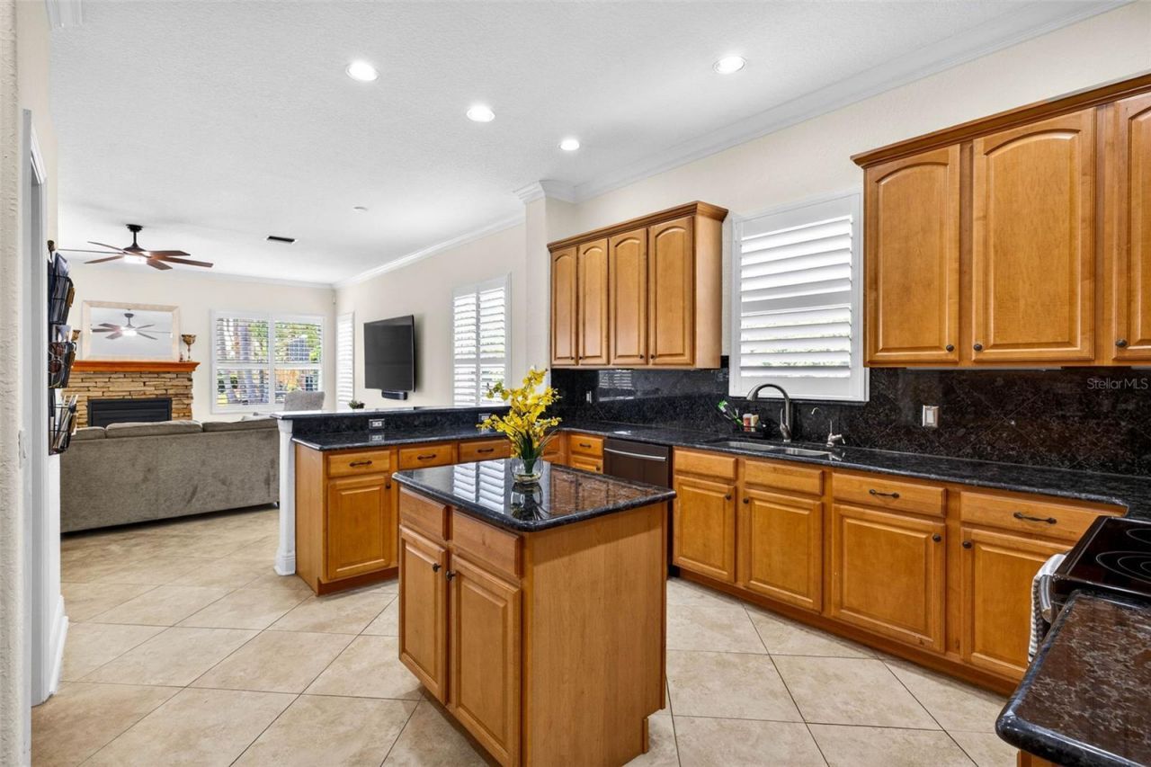 5905 Cherry Oak Drive , Valrico, FL 33596 Photo