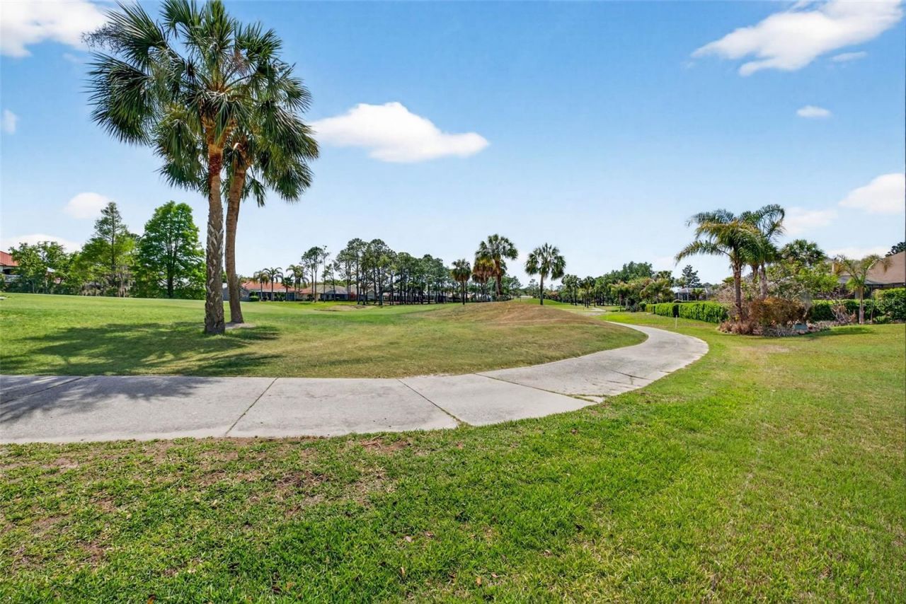 5905 Cherry Oak Drive , Valrico, FL 33596 Photo