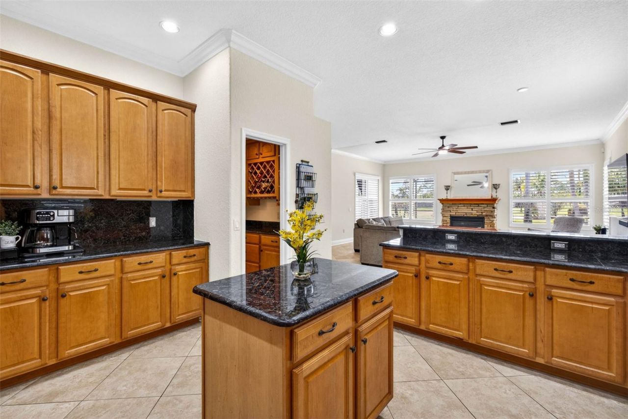 5905 Cherry Oak Drive , Valrico, FL 33596 Photo