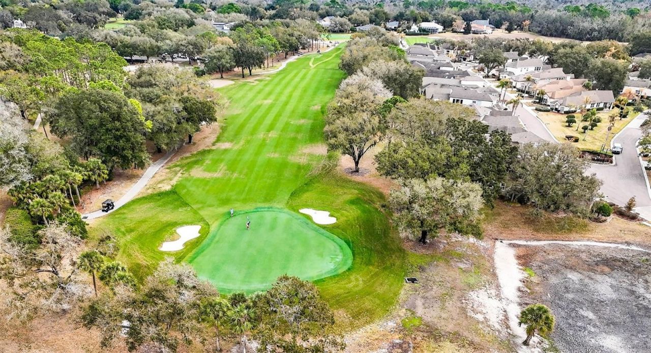 5905 Cherry Oak Drive , Valrico, FL 33596 Photo