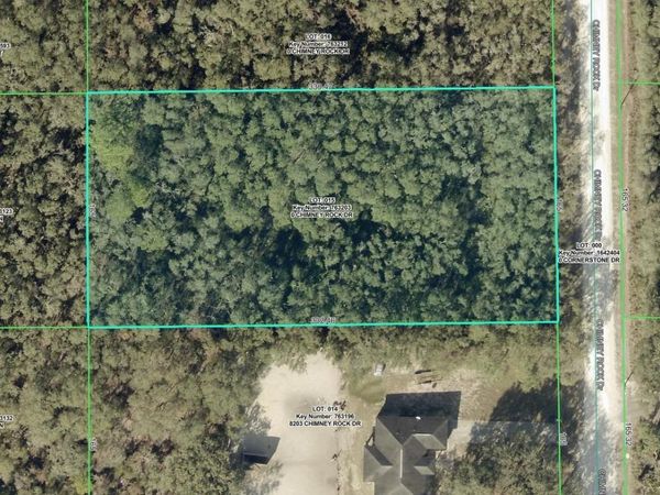 8223 CHIMNEY ROCK DRIVE , WEBSTER, FL 33597