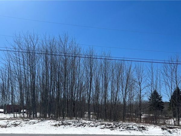 State Route 177 , Copenhagen, NY 13626