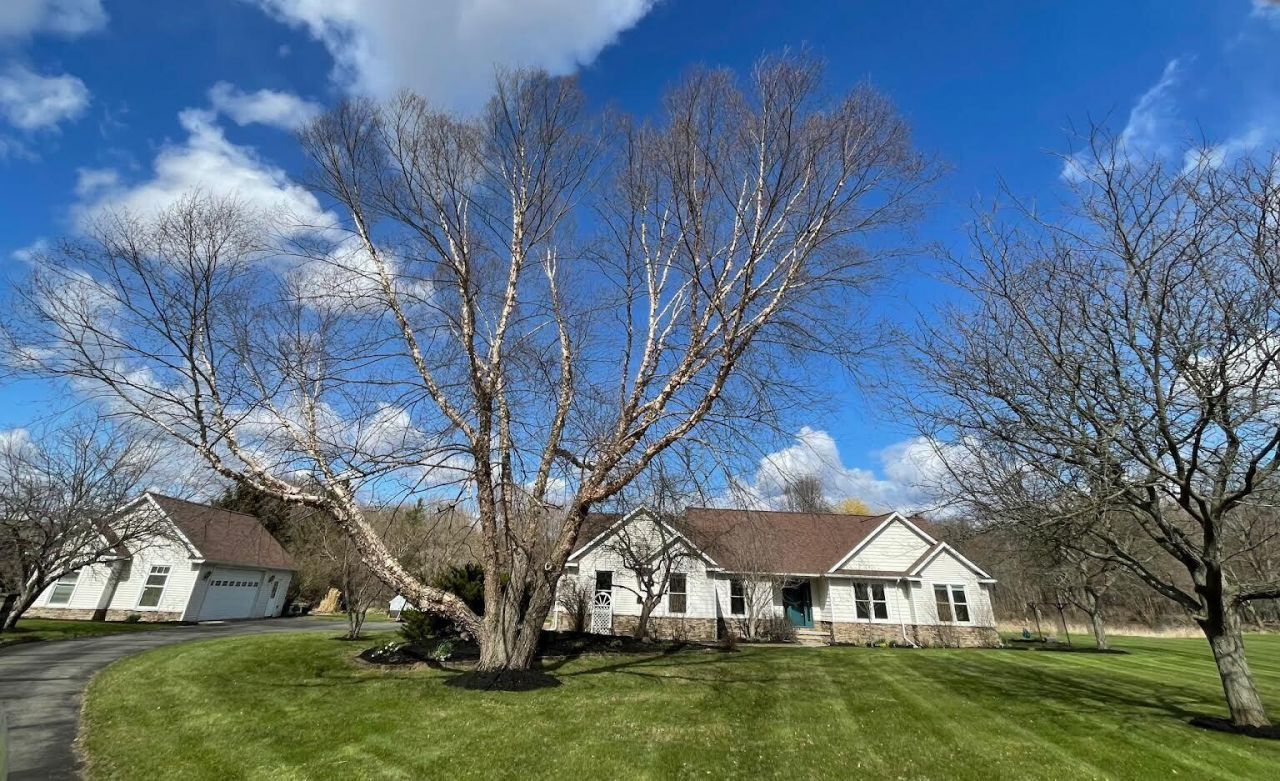 12126 Harvest Drive, Grass Lake, MI 49240 Main Photo