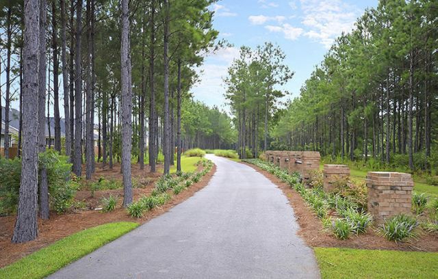 127 Lindera Preserve Boulevard Photo 41