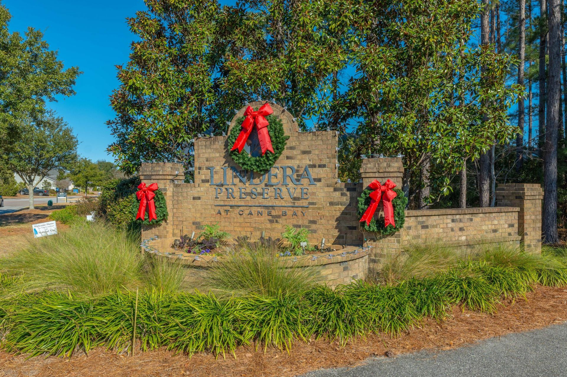 127 Lindera Preserve Boulevard Photo 42