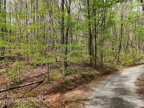 0 Shenandoah Drive, Cleveland, GA 30528