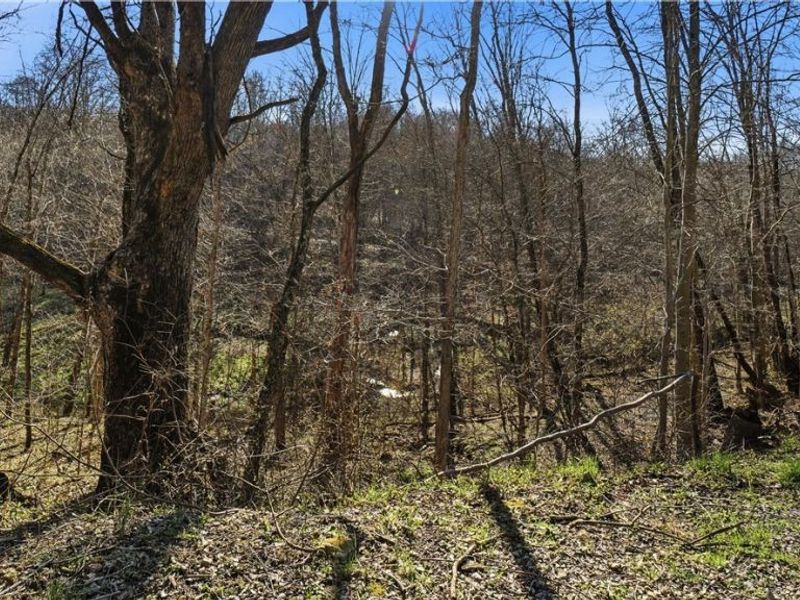 65892 Endley Road, Cambridge, OH 43725 Photo 50