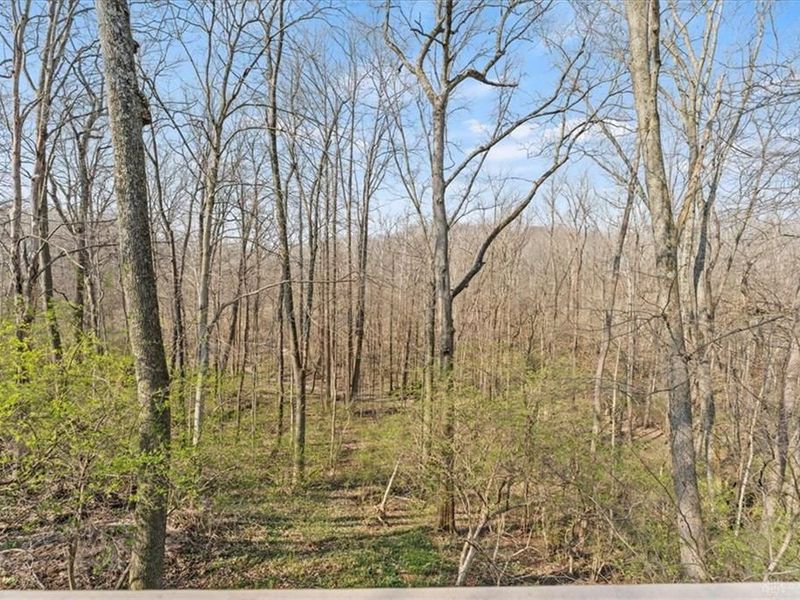 8289 Rhine Way, Centerville, OH 45458 Photo 6