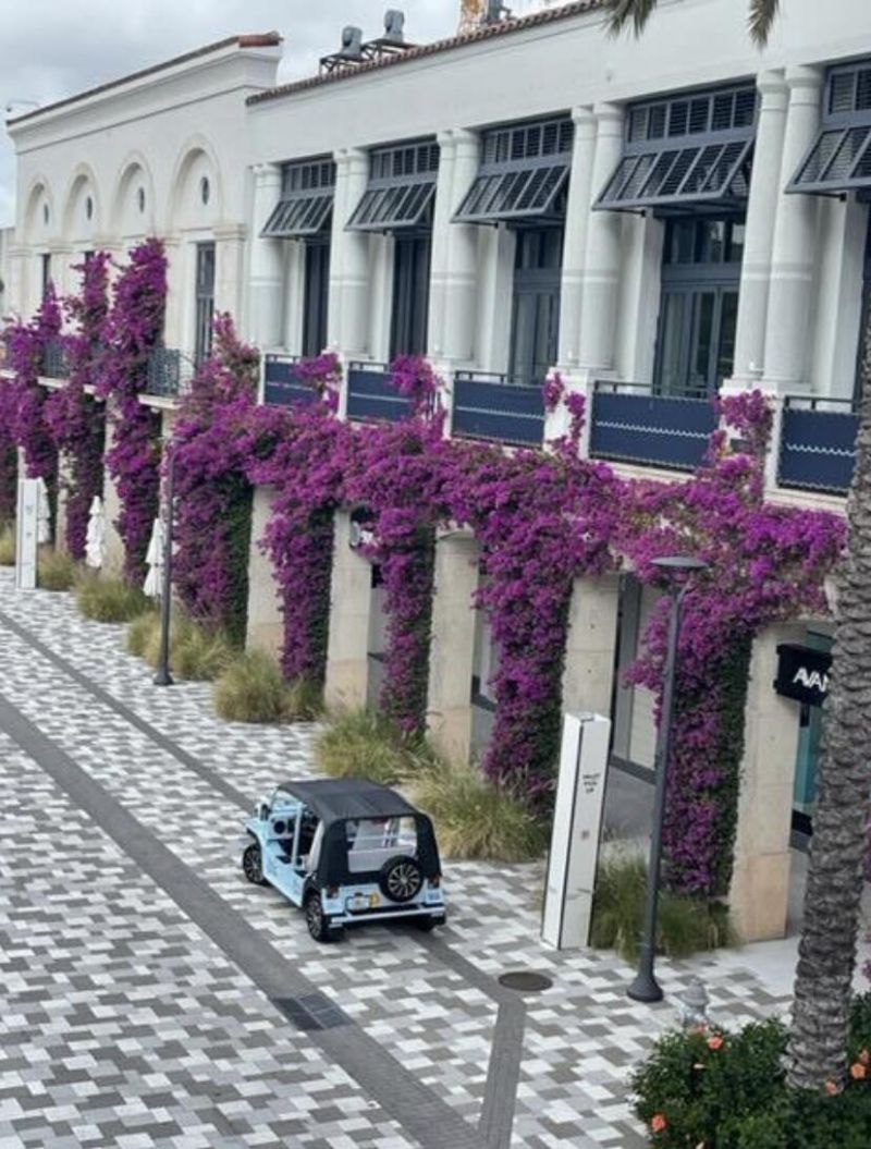 3526 Whitehall Drive, Unit 404, West Palm Beach, FL 33401 Photo