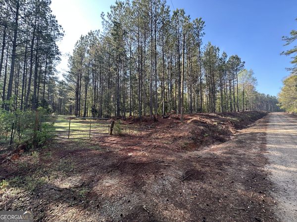 0 J.W. Dunn Road, Warm Springs, GA 31830