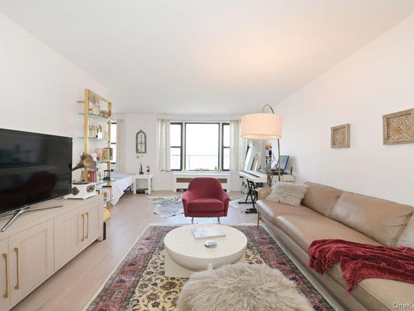 6 Birchwood Court, Unit 3A, Mineola, NY 11501