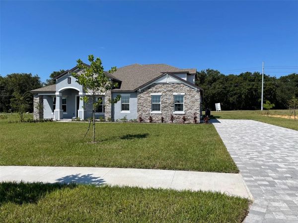 10060 DOLPHIN GULL CIRCLE , THONOTOSASSA, FL 33592