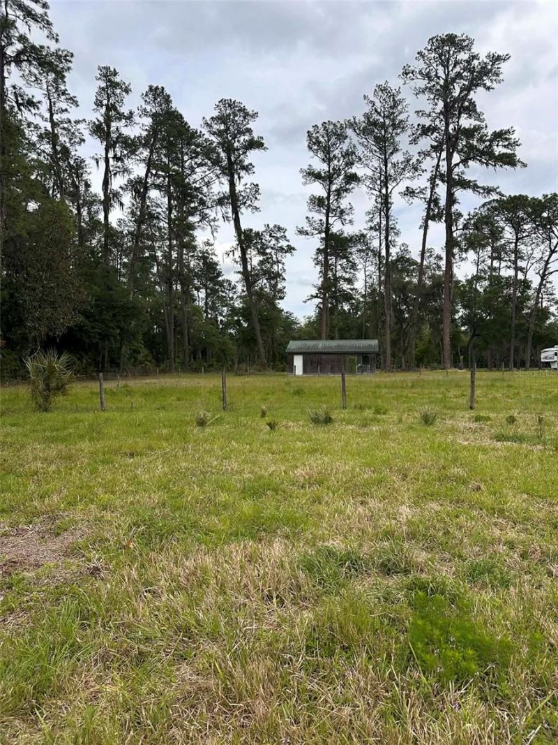 6800 NE 175th St. Road , Citra, FL 32113 Photo