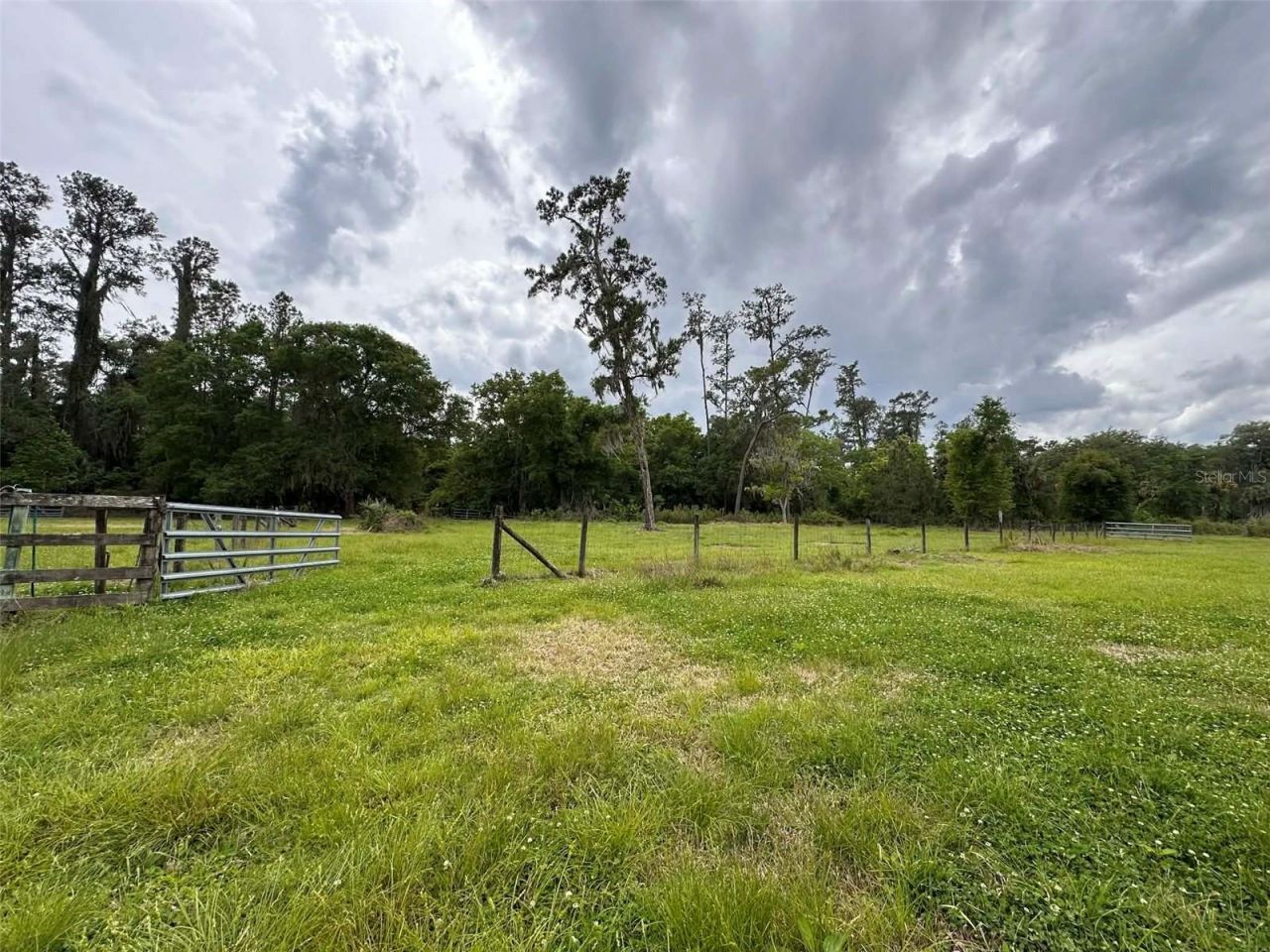 6800 NE 175th St. Road, Citra, FL 32113 Photo
