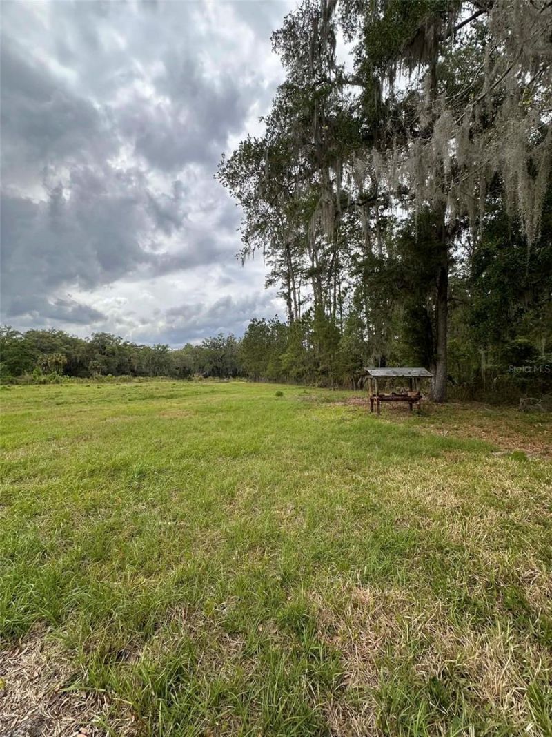 6800 NE 175th St. Road, Citra, FL 32113 Photo
