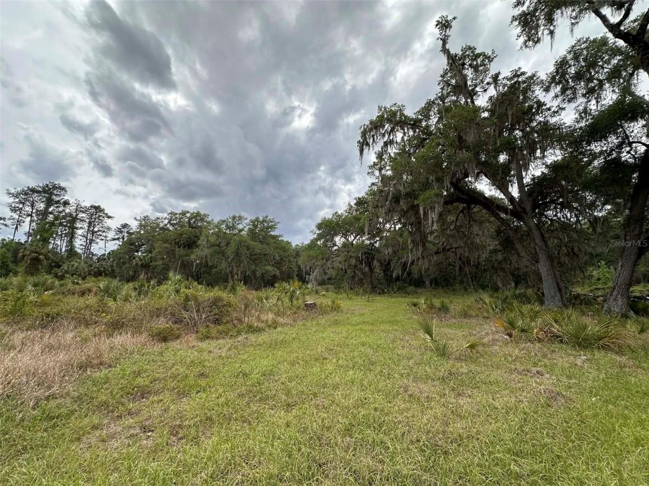 6800 NE 175th St. Road, Citra, FL 32113 Photo