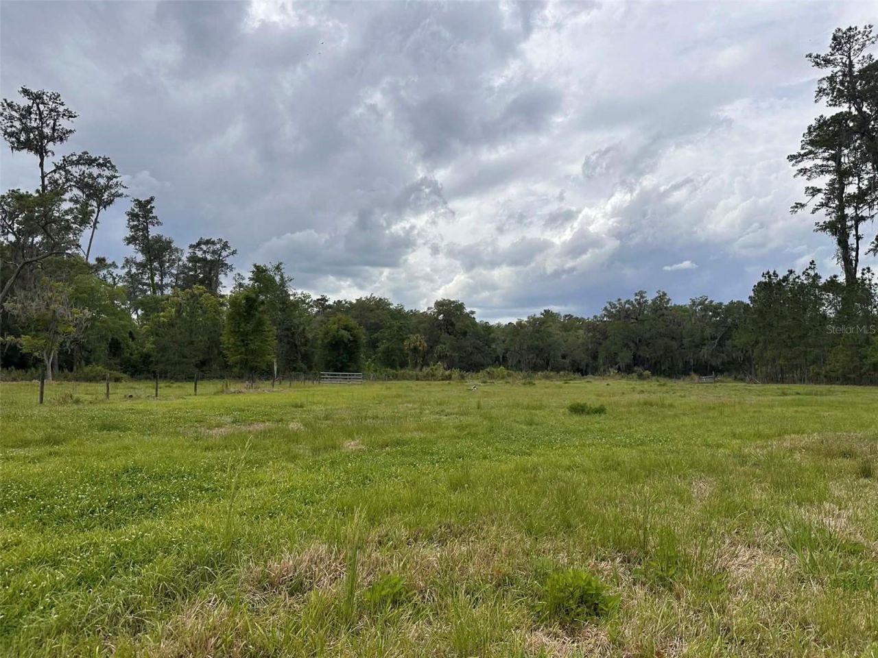 6800 NE 175th St. Road, Citra, FL 32113 Photo