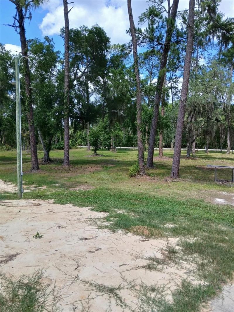 6800 NE 175th St. Road, Citra, FL 32113 Photo