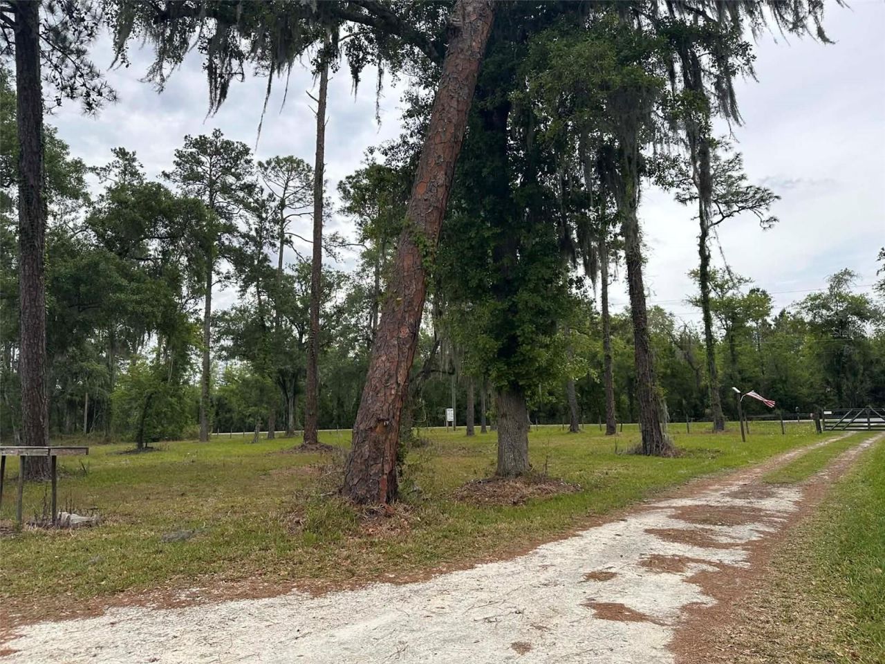 6800 NE 175th St. Road, Citra, FL 32113 Photo