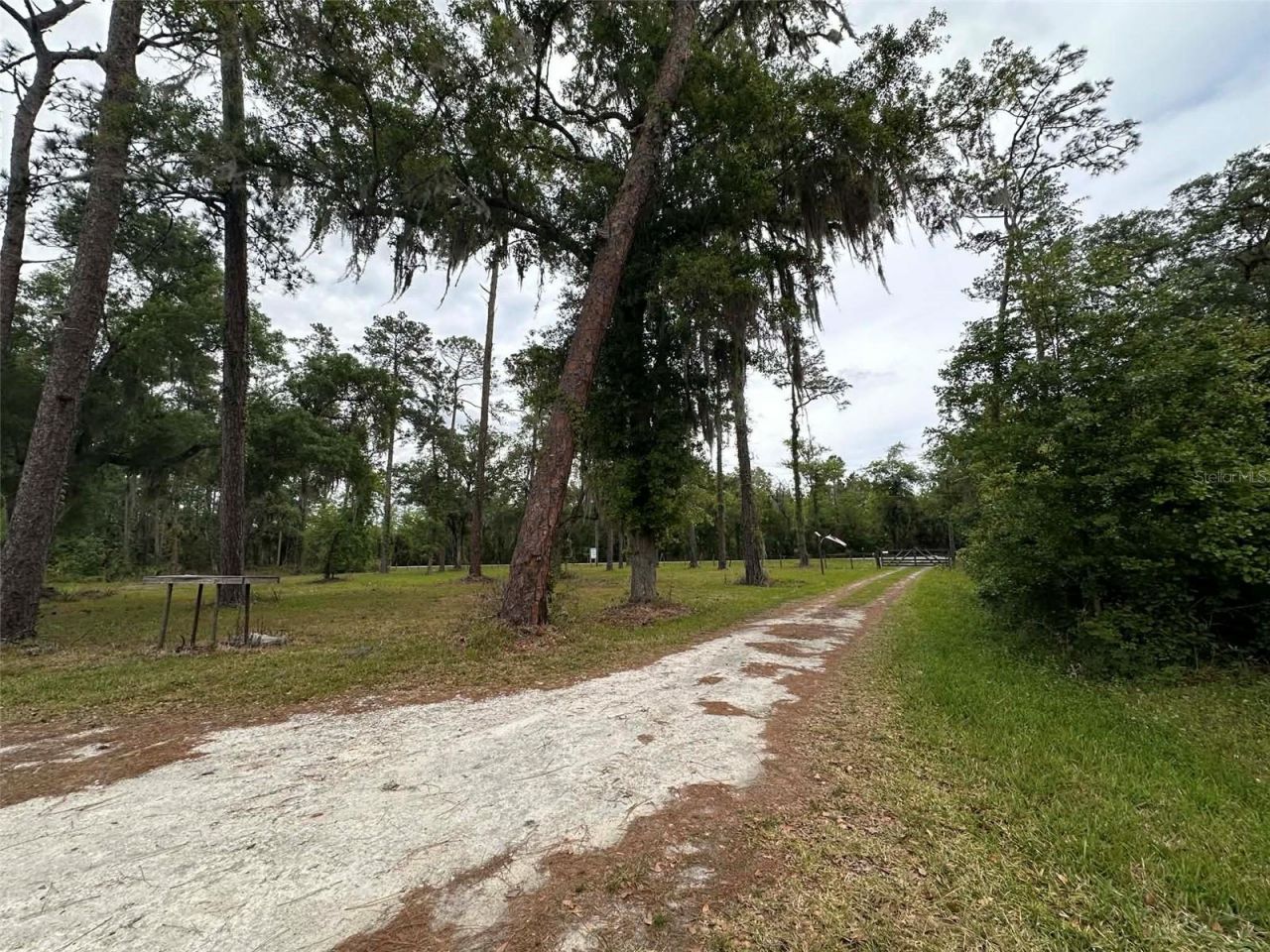 6800 NE 175th St. Road, Citra, FL 32113 Photo