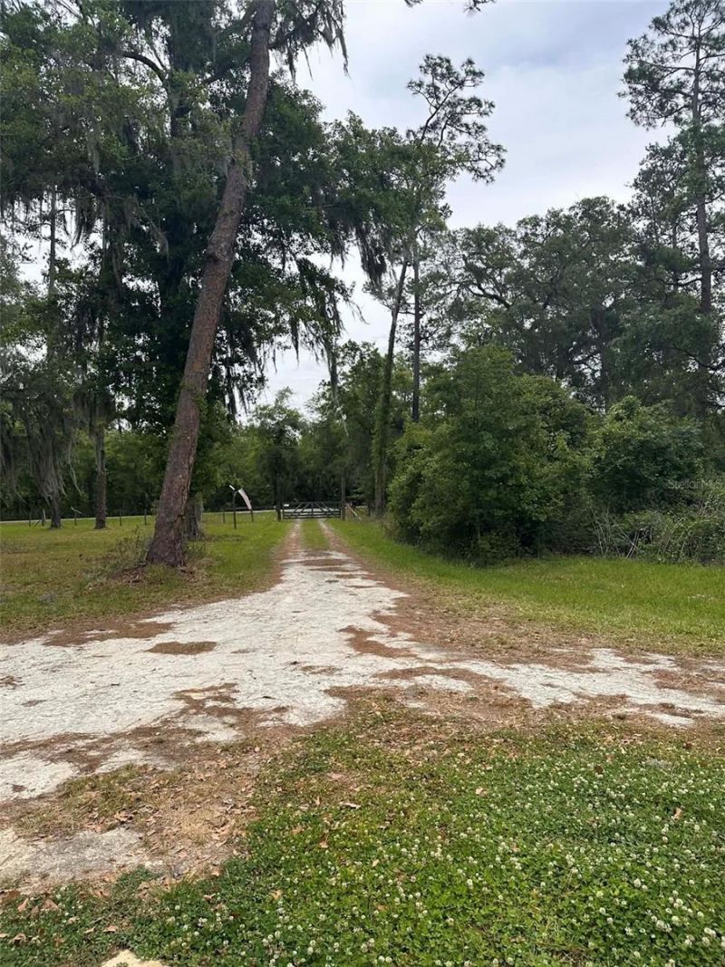 6800 NE 175th St. Road, Citra, FL 32113 Photo