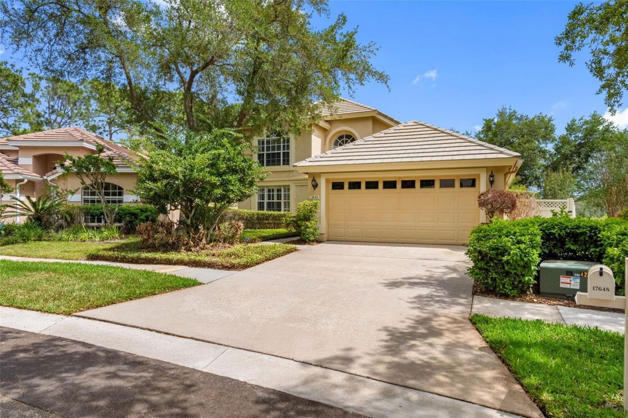 17648 Nathans Drive, Tampa, FL 33647 Main Photo