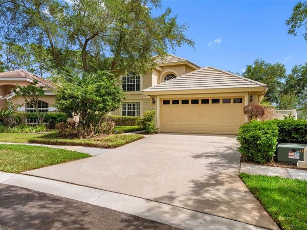 17648 NATHANS DRIVE , TAMPA, FL 33647