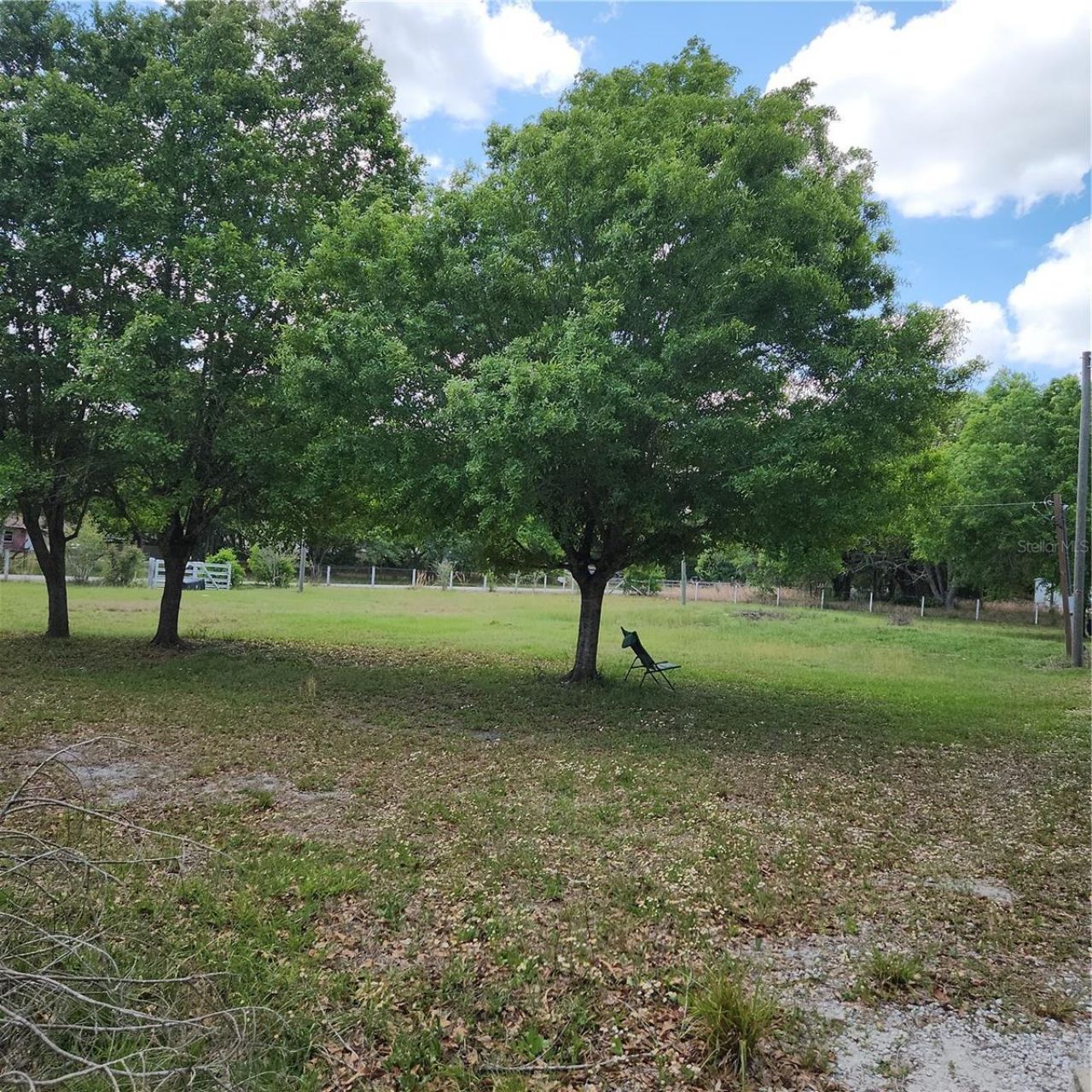 26739 Foamflower Boulevard, Wesley Chapel, FL 33544 Photo