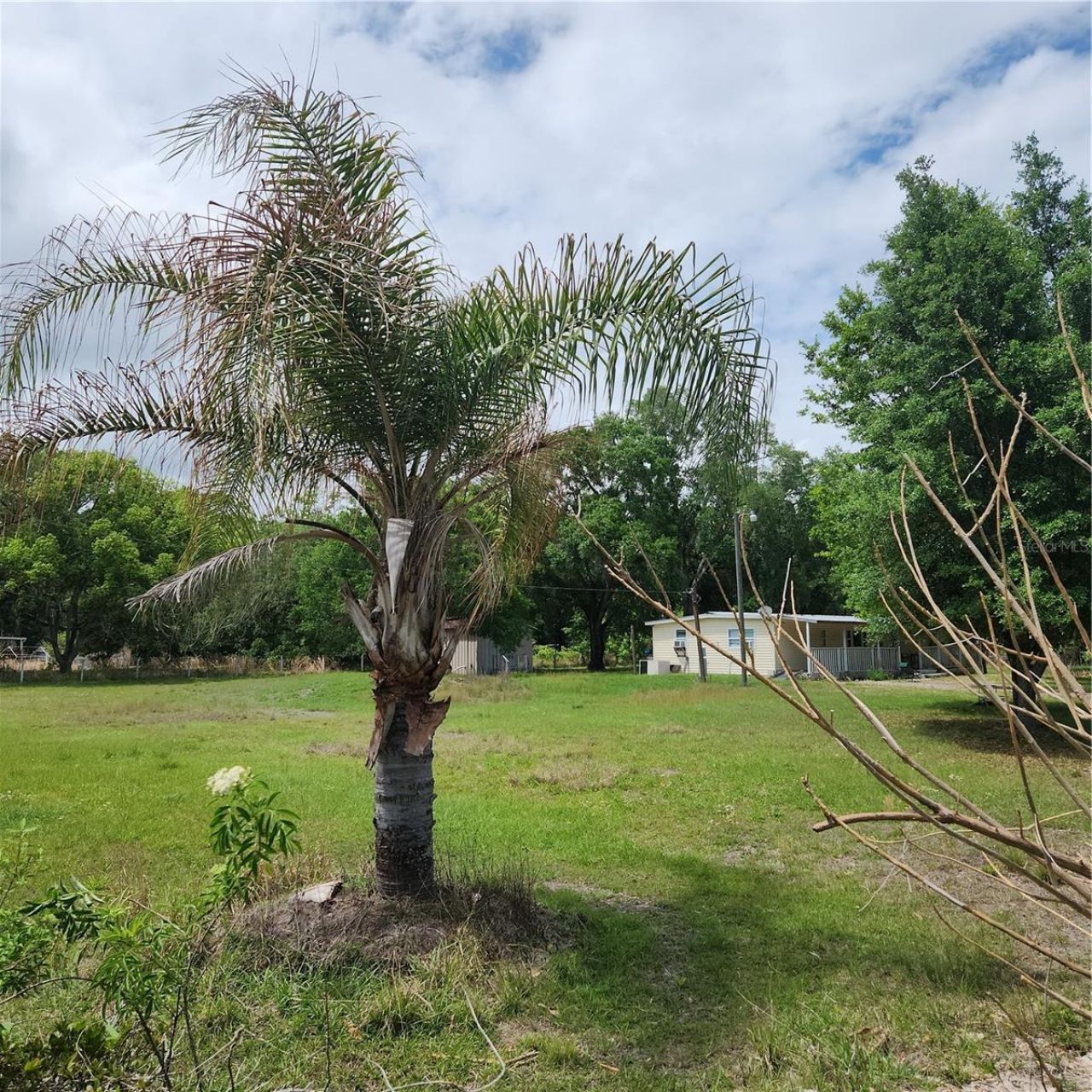 26739 Foamflower Boulevard, Wesley Chapel, FL 33544 Photo