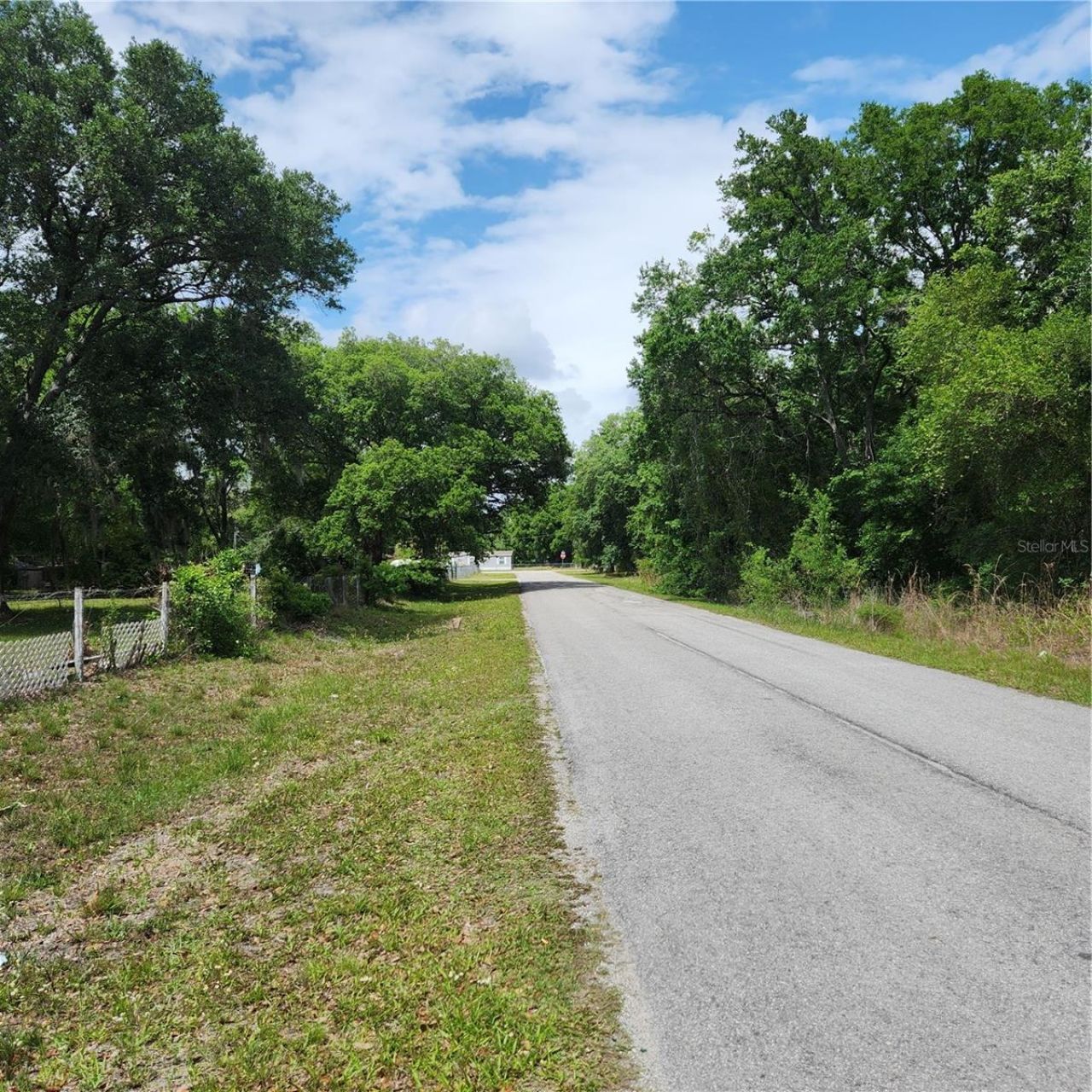 26739 Foamflower Boulevard, Wesley Chapel, FL 33544 Photo