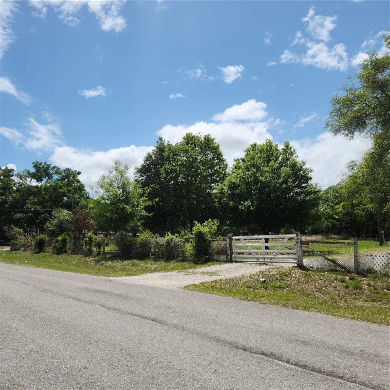 26739 Foamflower Boulevard, Wesley Chapel, FL 33544 Photo