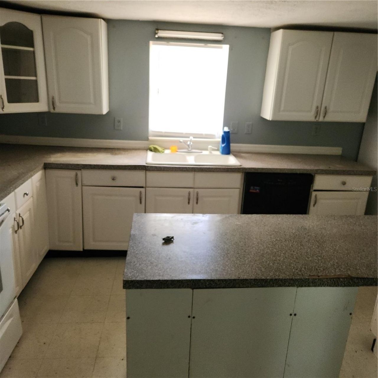 26739 Foamflower Boulevard, Wesley Chapel, FL 33544 Photo