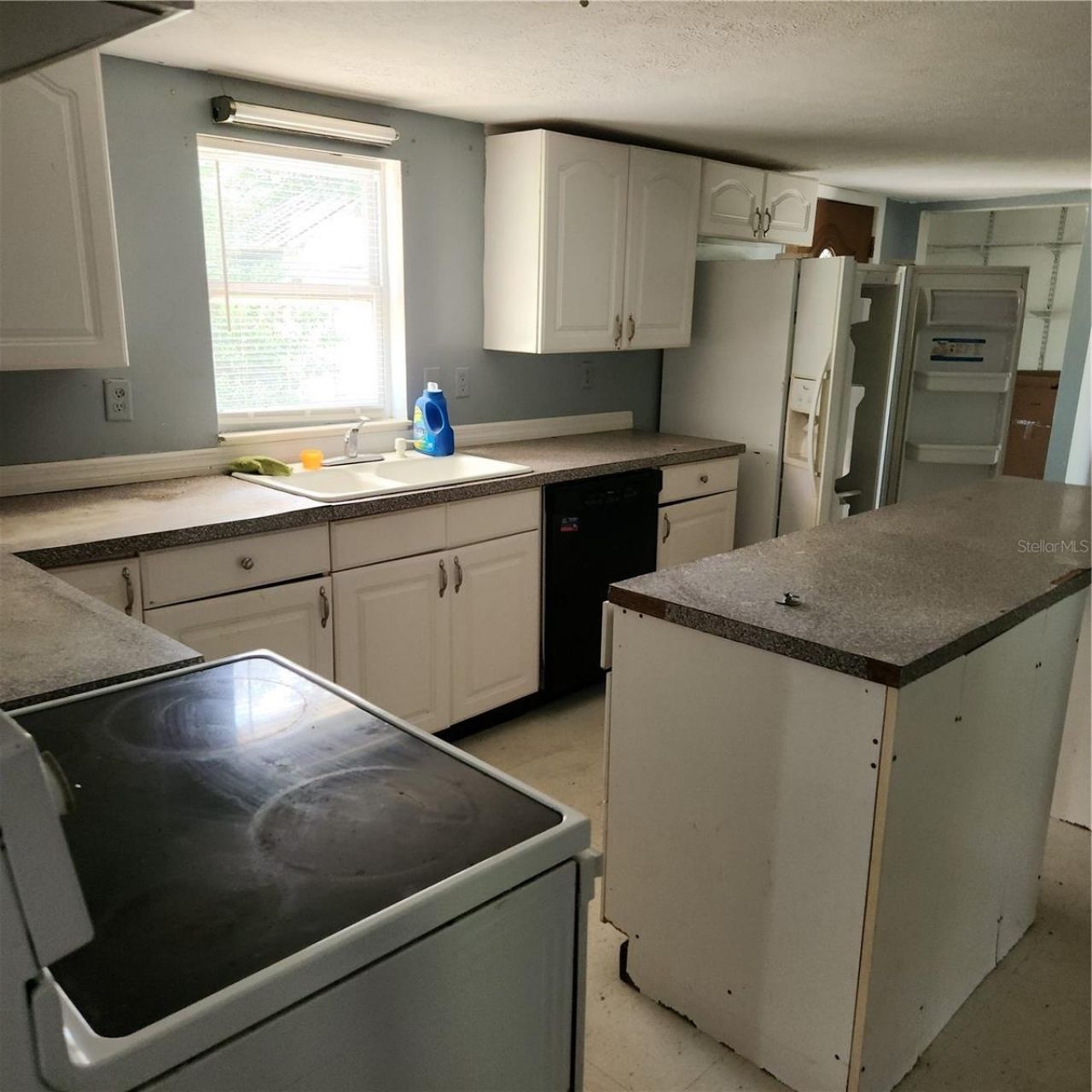 26739 Foamflower Boulevard, Wesley Chapel, FL 33544 Photo