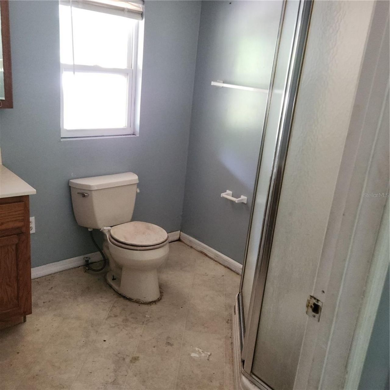26739 Foamflower Boulevard, Wesley Chapel, FL 33544 Photo