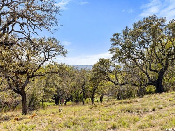 19 STONE RIDGE MOUNTAIN DR, Round Mountain, TX 78663