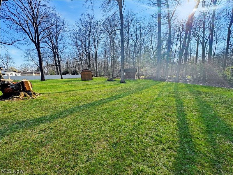 7230 Elmland Avenue, Poland, OH 44514 Photo 16