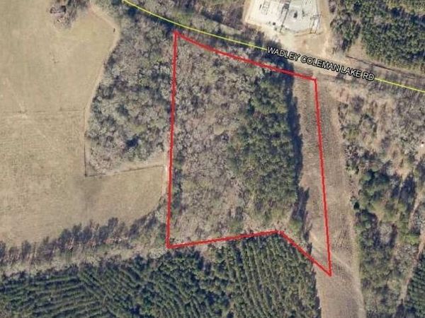 0 Wadley Coleman Lake Rd, Midville, GA 30441