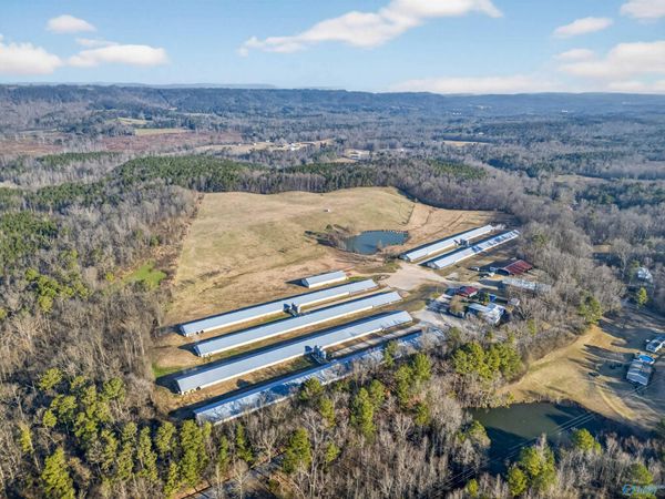 760 Burton Loop Road, Altoona, AL 35952