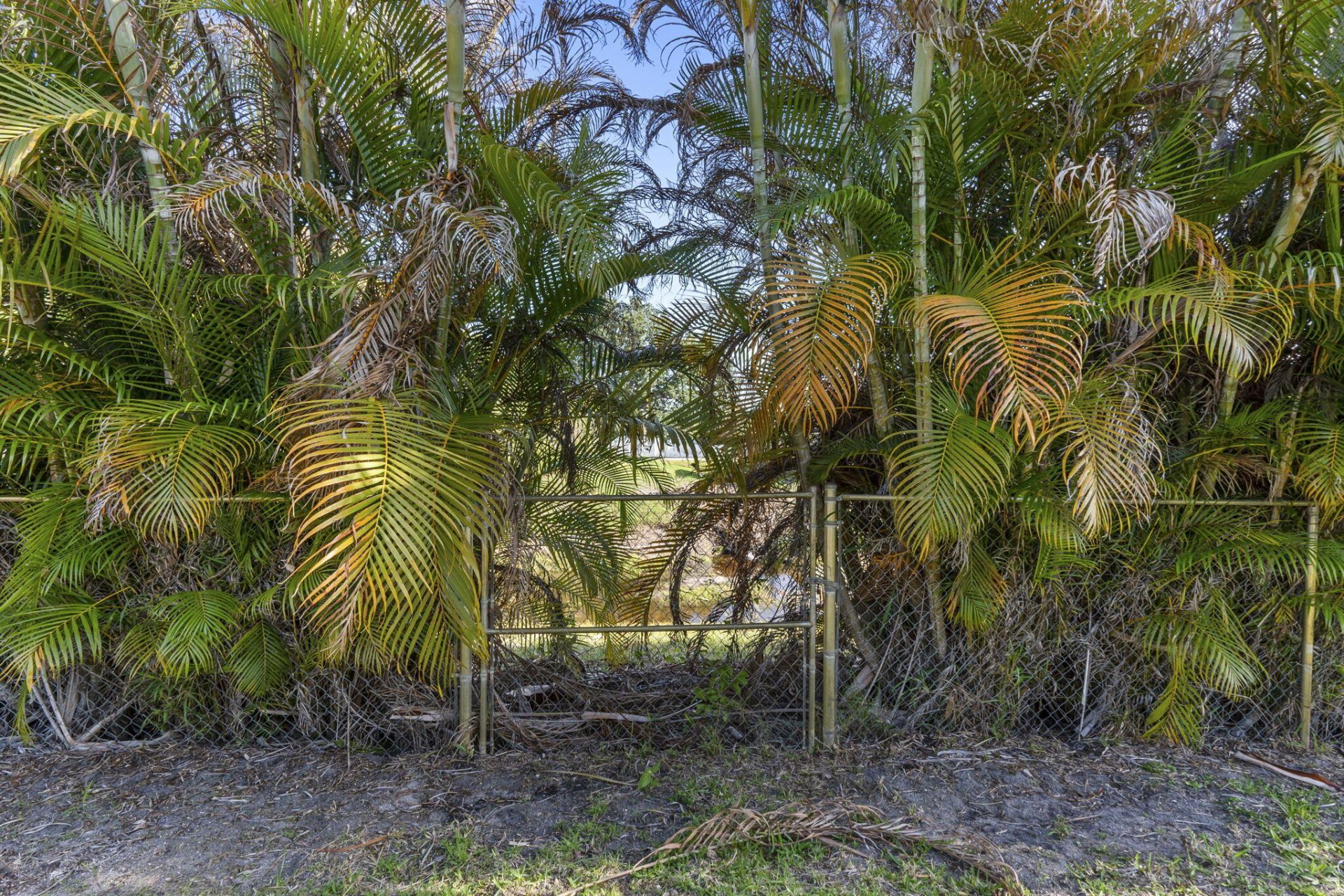 1441 SW Edinburgh Drive, Port Saint Lucie, FL 34953 Photo