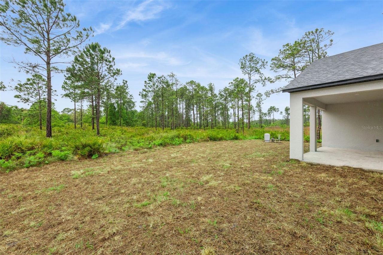 42875 Honeysuckle Street, Eustis, FL 32736 Photo