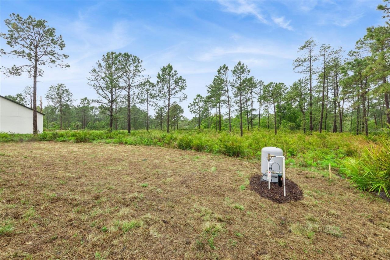 42875 Honeysuckle Street, Eustis, FL 32736 Photo