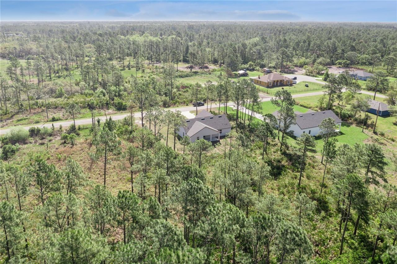 42875 Honeysuckle Street, Eustis, FL 32736 Photo