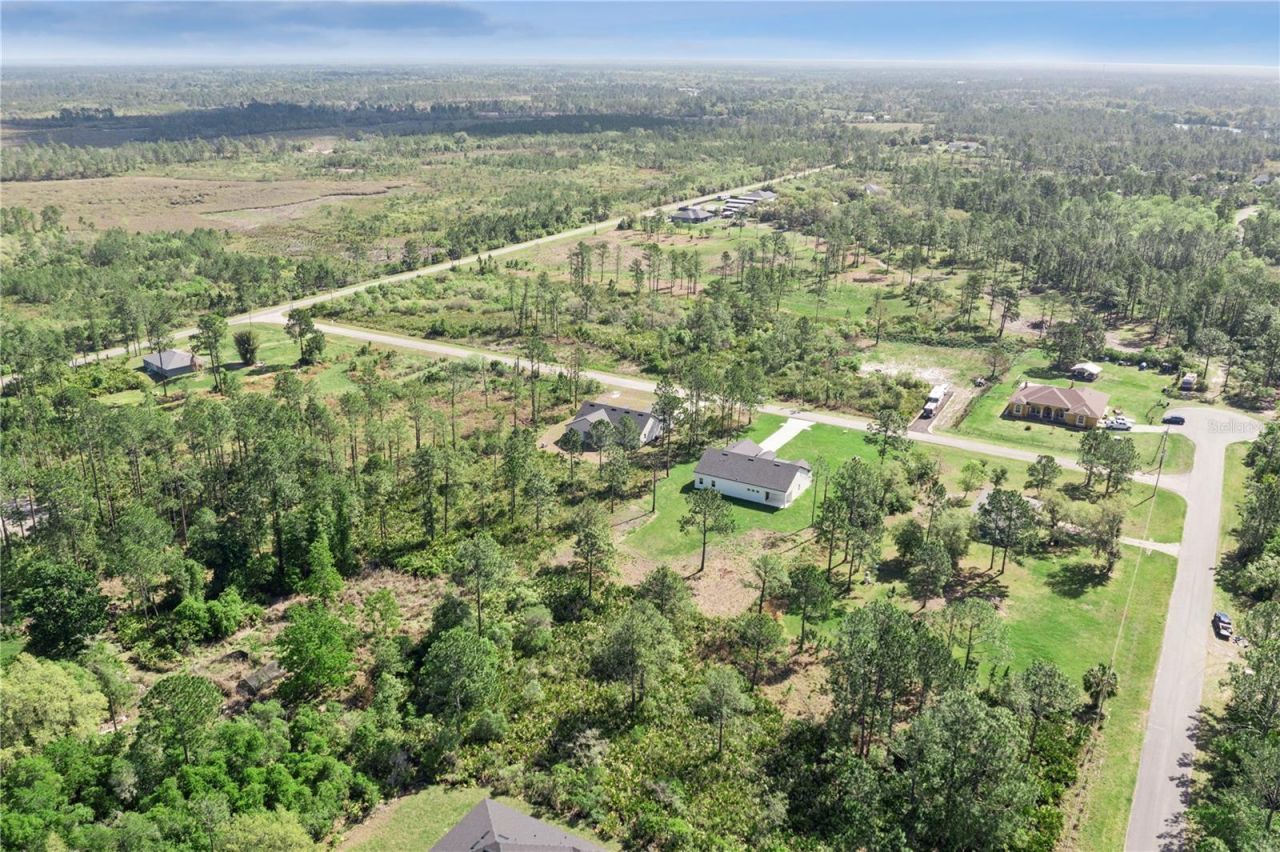 42875 Honeysuckle Street, Eustis, FL 32736 Photo