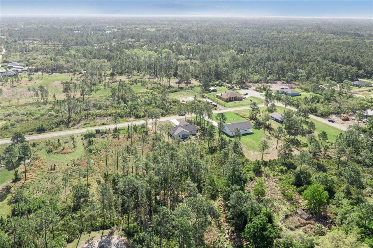 42875 Honeysuckle Street, Eustis, FL 32736 Photo