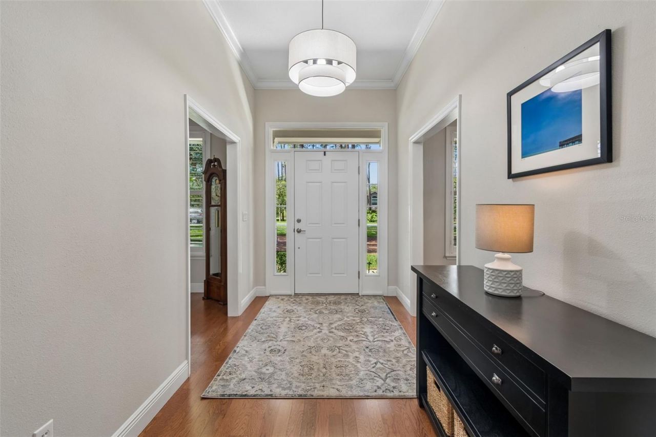 421 Pine Bluff Drive, Lutz, FL 33549 Photo