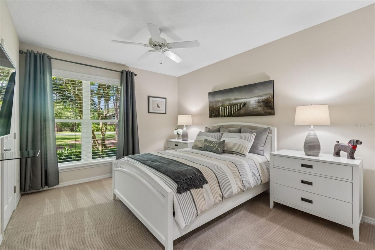 421 Pine Bluff Drive, Lutz, FL 33549 Photo