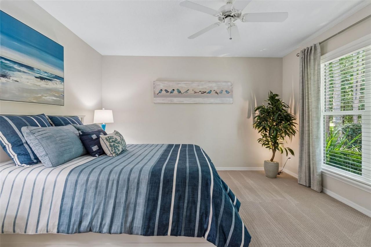 421 Pine Bluff Drive, Lutz, FL 33549 Photo